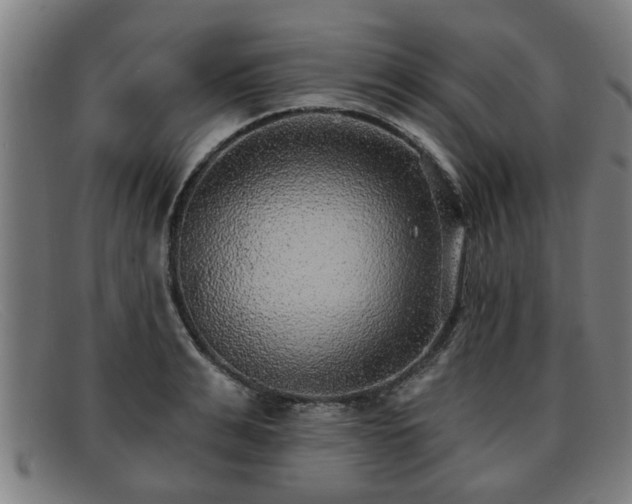 X0000091850991200709121307