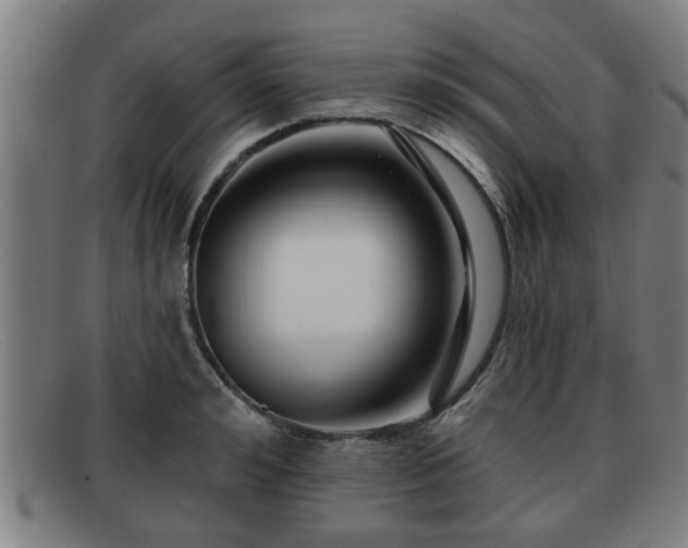 X0000091850992200709121307