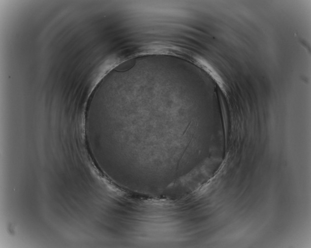 X0000091850994200709121307