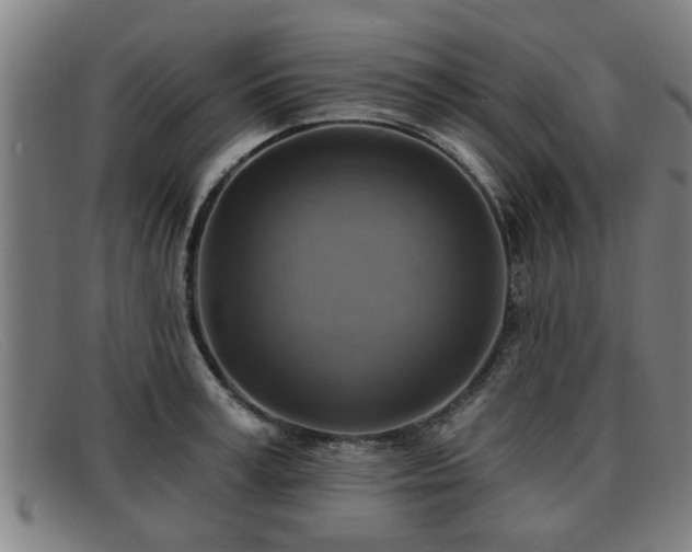 X0000091850995200709121307