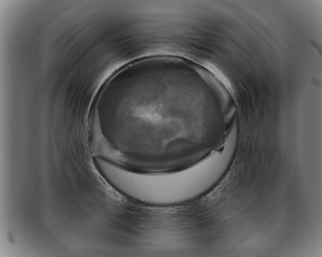 X0000091850996200709121307
