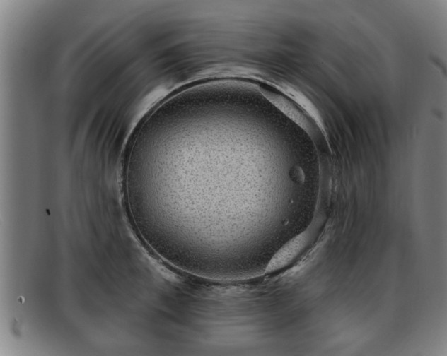 X0000091850997200709121307