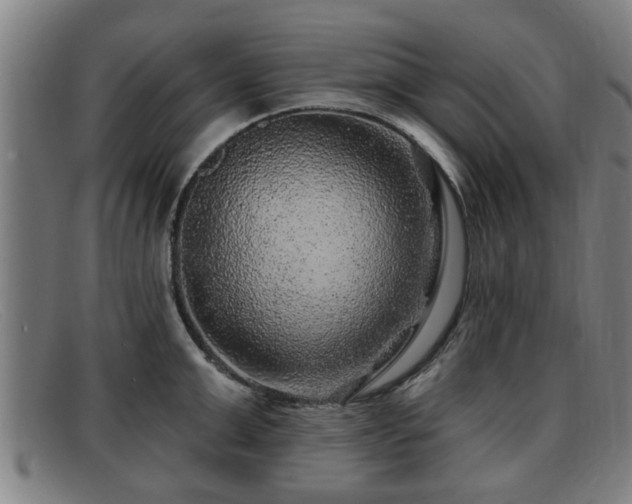 X0000091850999200709121307