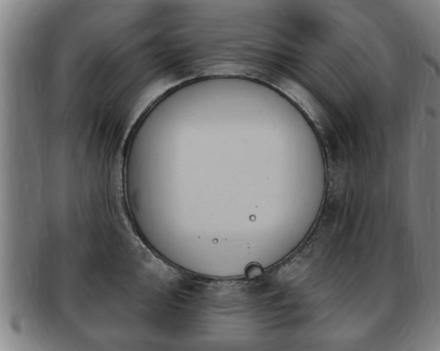 X0000091851000200709121307