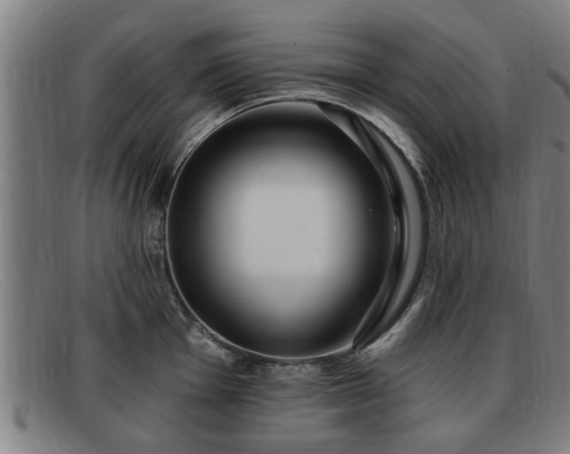 X0000091851001200709121307