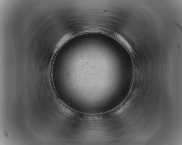 X0000091851002200709121307