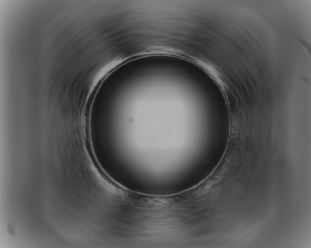 X0000091851003200709121307