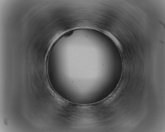 X0000091851004200709121307