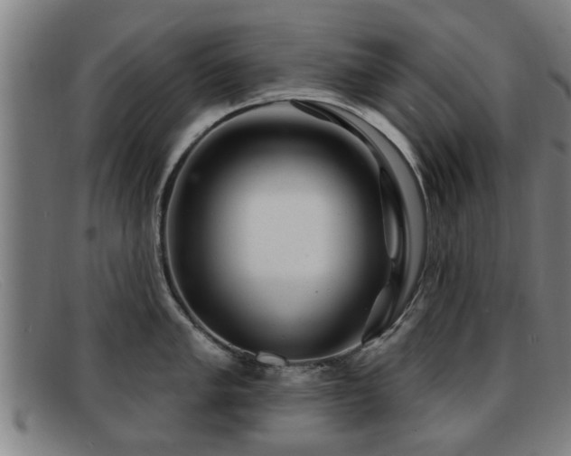 X0000091851005200709121307