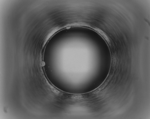 X0000091851006200709121307