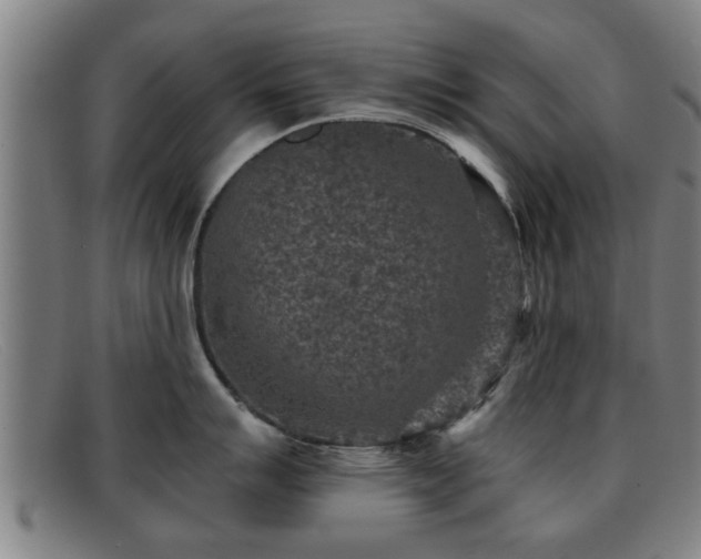 X0000091851007200709121307