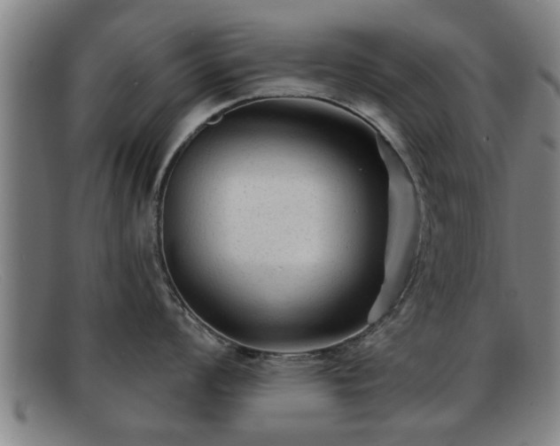 X0000091851008200709121307