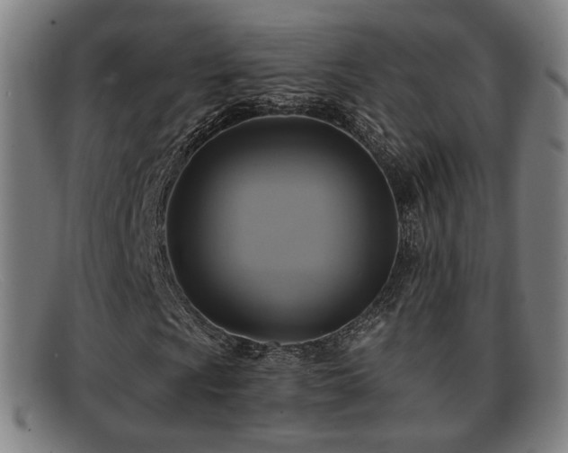 X0000091851009200709121306