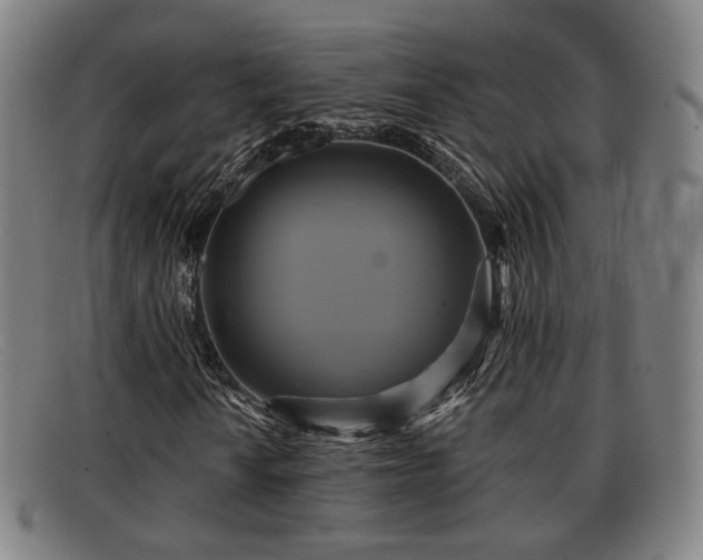 X0000091851010200709121306
