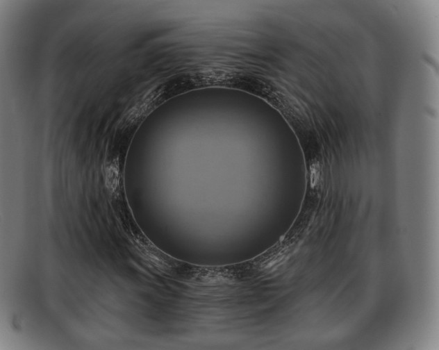 X0000091851011200709121306