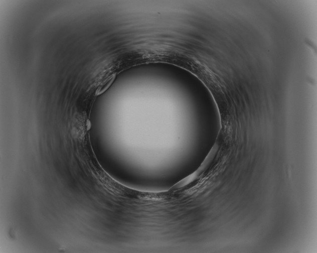 X0000091851012200709121306