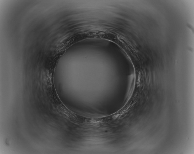 X0000091851013200709121306