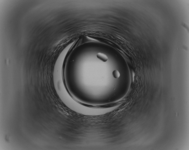 X0000091851014200709121306