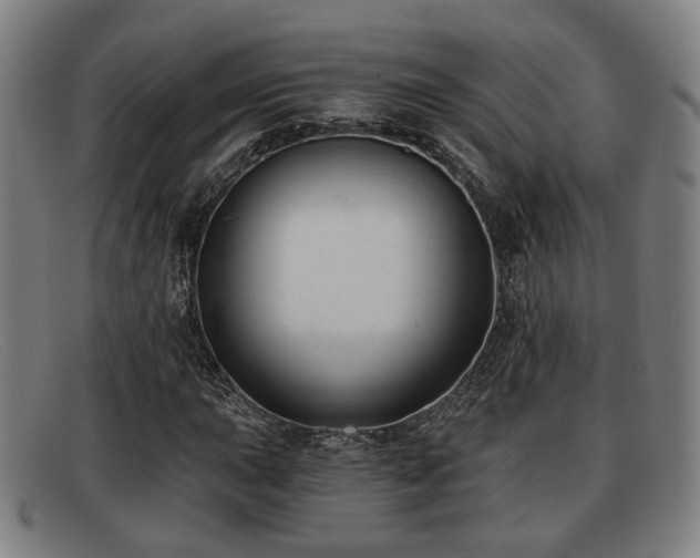 X0000091851015200709121306