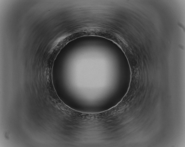 X0000091851016200709121306