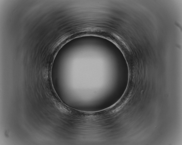 X0000091851017200709121306