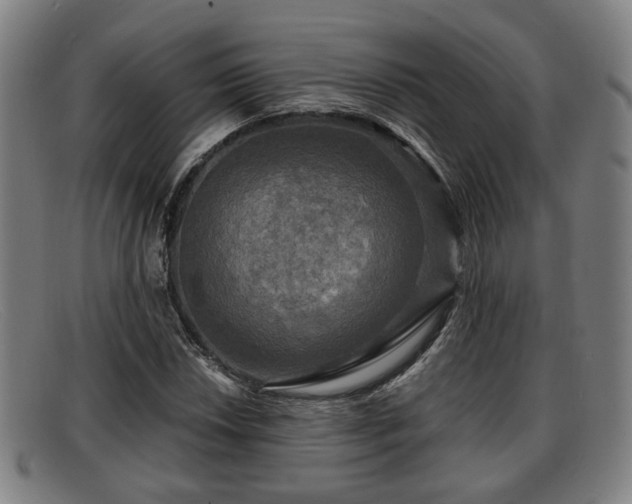 X0000091851018200709121306