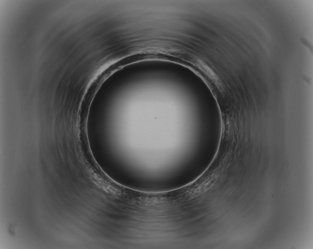 X0000091851020200709121306