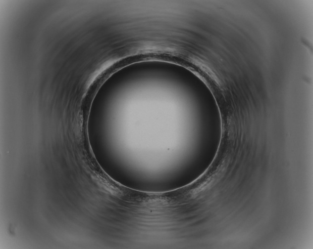 X0000091851021200709121306