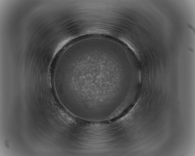 X0000091851022200709121306