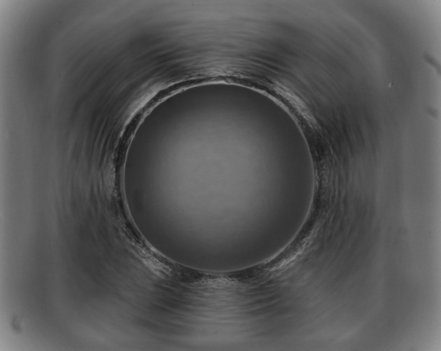 X0000091851023200709121306