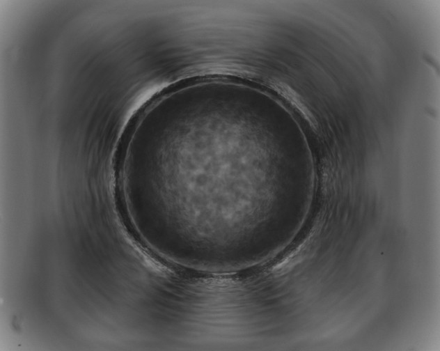 X0000091851024200709121306