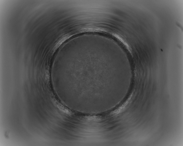 X0000091851025200709121306
