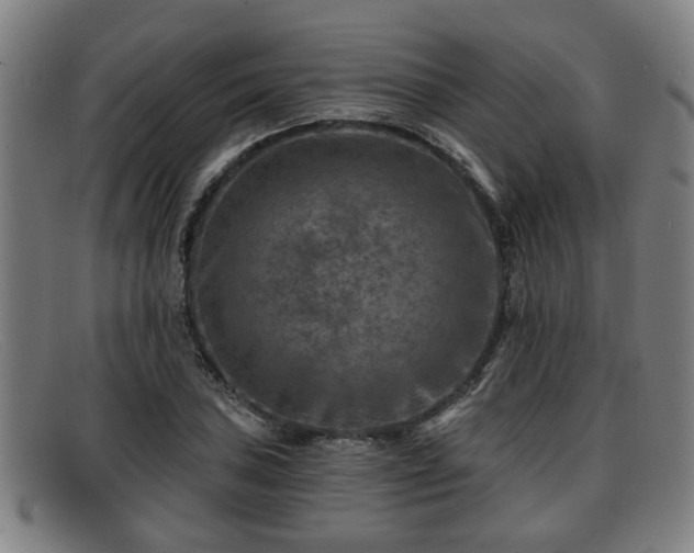 X0000091851027200709121306