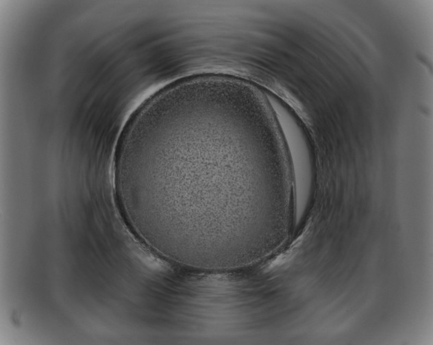 X0000091851028200709121306