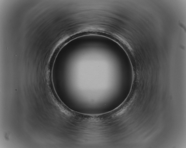 X0000091851029200709121306