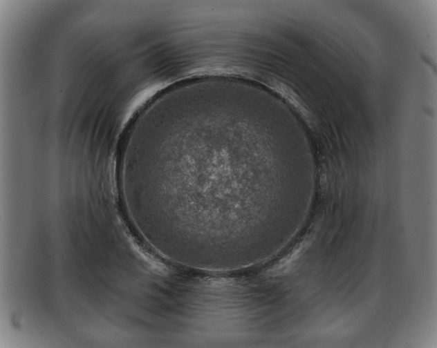 X0000091851030200709121306