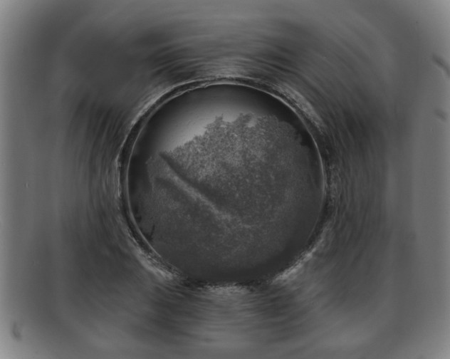 X0000091851031200709121306