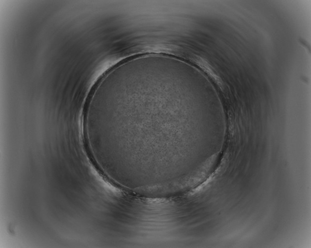 X0000091851032200709121306