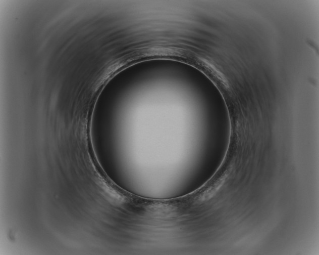 X0000091851033200709121306