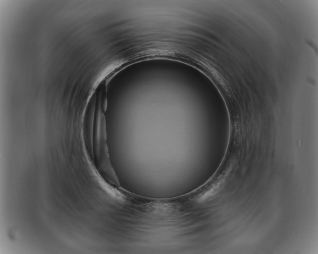 X0000091851034200709121306