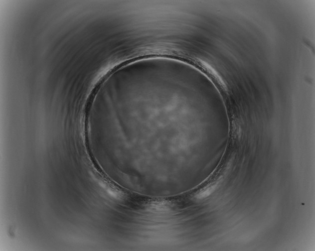 X0000091851035200709121306