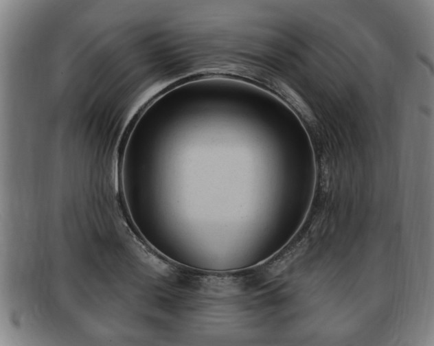 X0000091851036200709121306