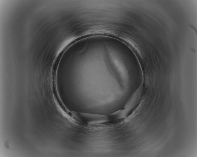 X0000091851038200709121306