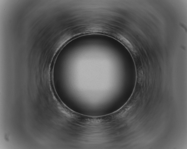 X0000091851039200709121306