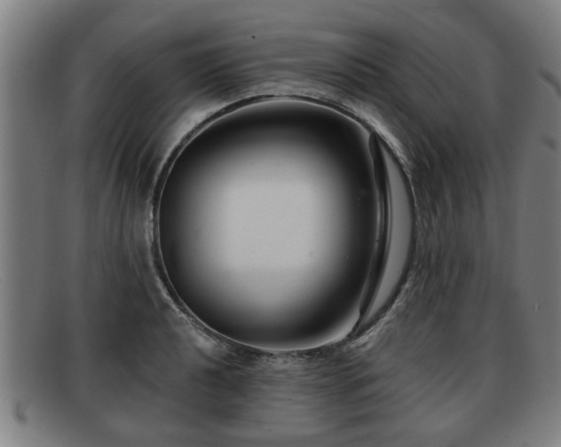 X0000091851040200709121306