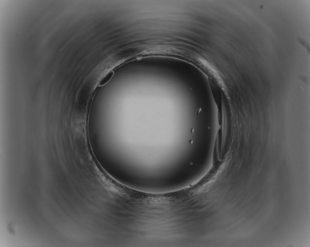 X0000091851041200709121306