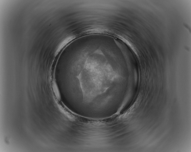 X0000091851042200709121306
