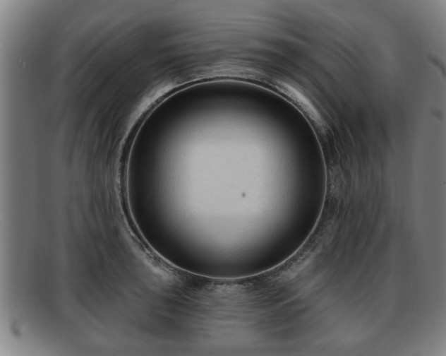 X0000091851043200709121307
