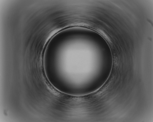 X0000091851044200709121307