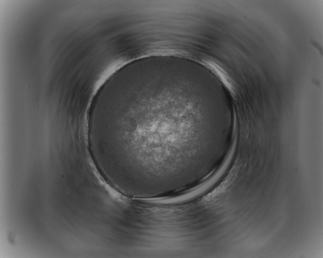 X0000091851046200709121307